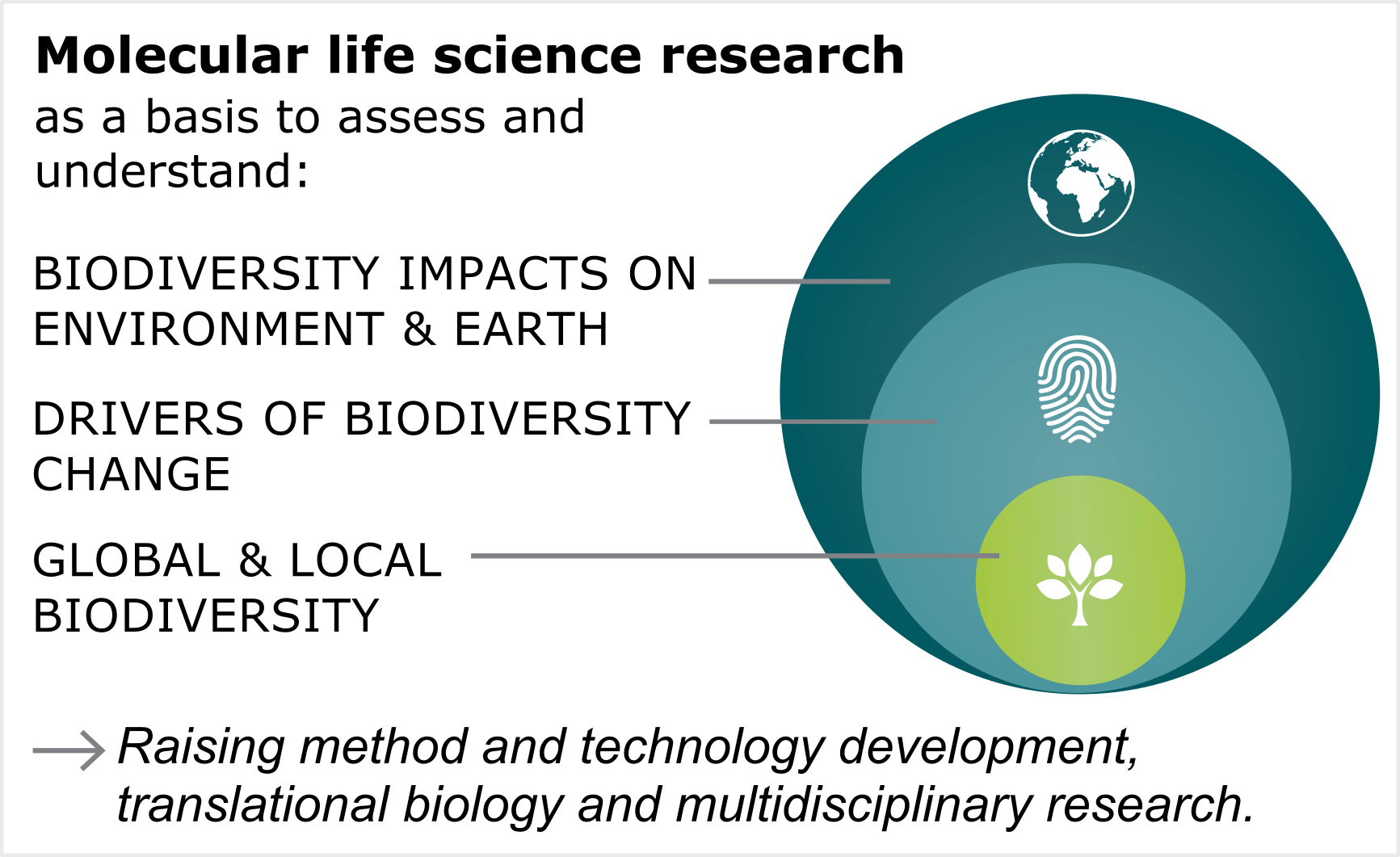 Research in molecular life sciences allows us to describe and understand the drivers and meaning of diversity: changes that are happening, the underlying mechanisms, and the impact of those changes on ecosystems and planetary health.